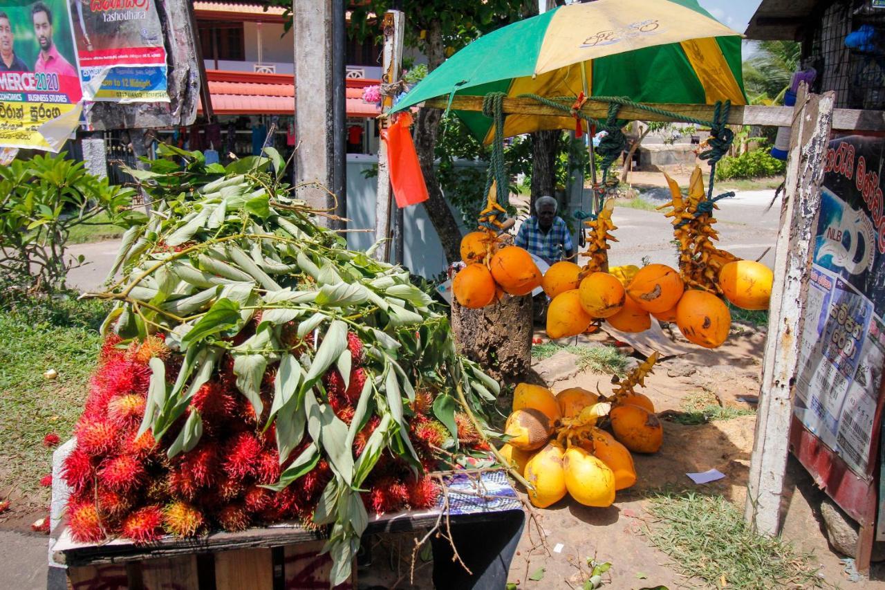 Bentota Home Stay Экстерьер фото